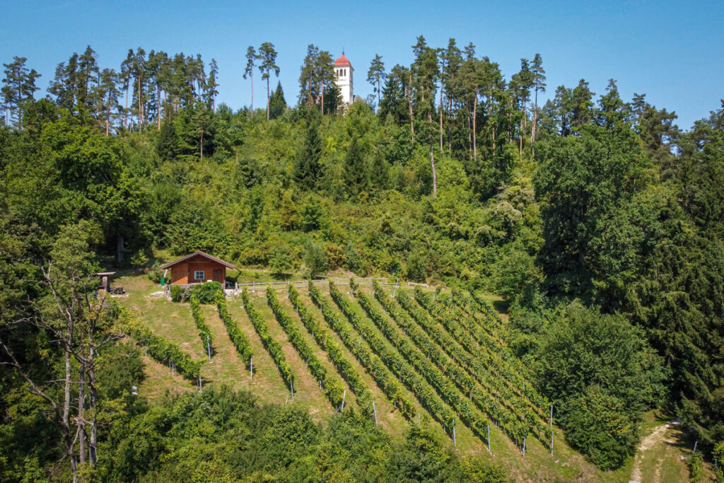 vinothek